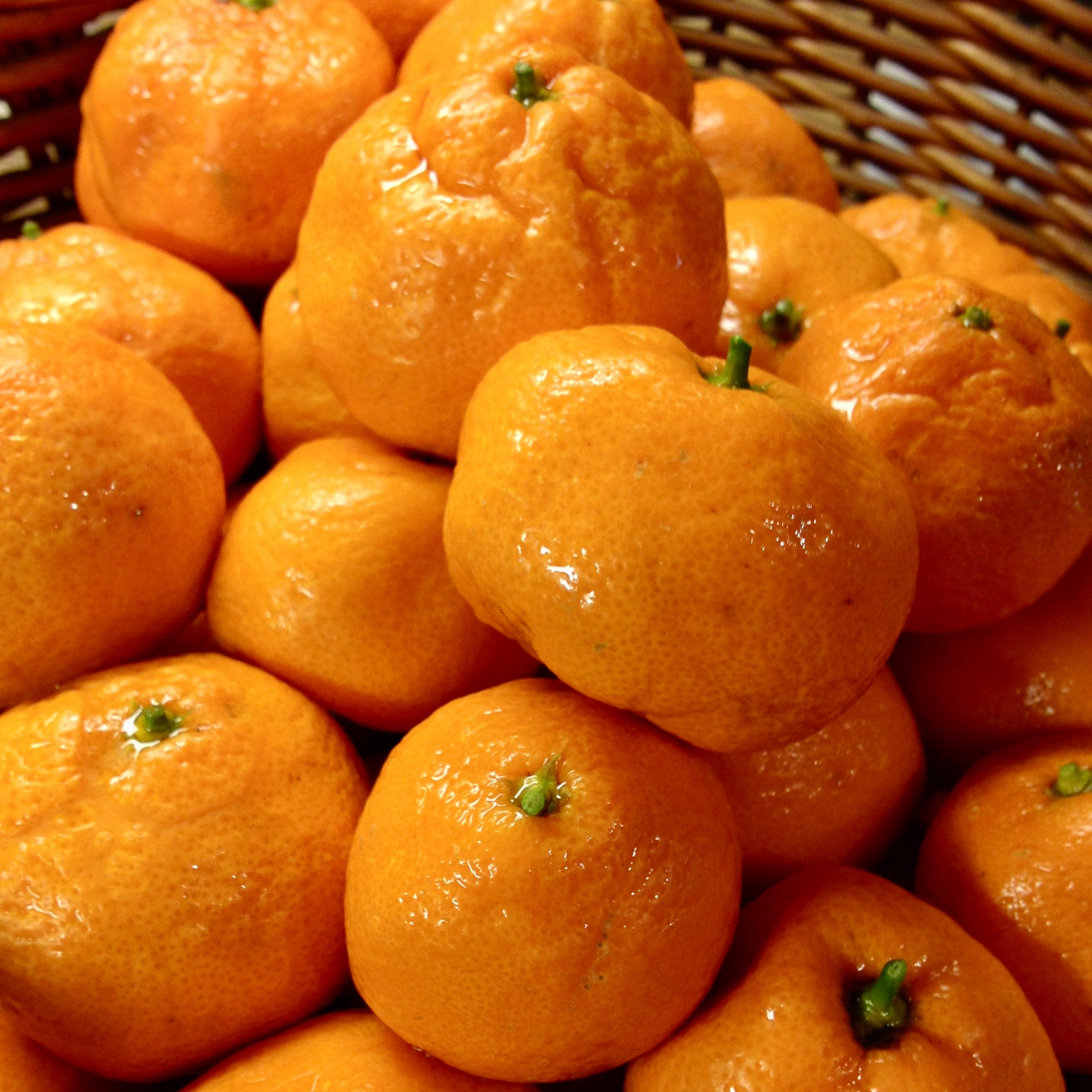 Tangerine Dreams - Gourmet Marmalade