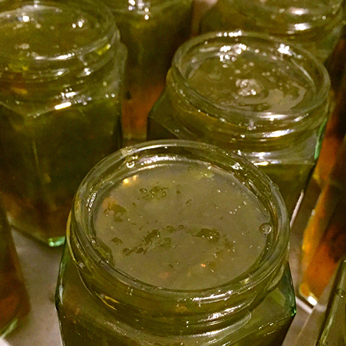 Jalapeño Madness - Gourmet Jam