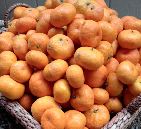 Tangerine Luv - Gourmet Jam