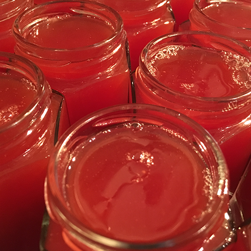 Watermelon Splash - Gourmet Jam "Limited Edition"