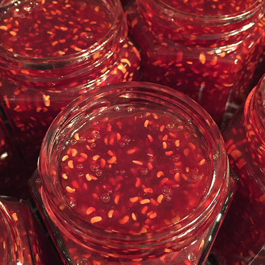 Oh Razzzberries! - Gourmet Jam